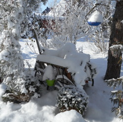 Der Garten im Januar 2023