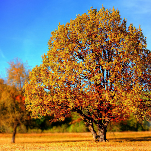 Sprechstunde außerhalb der Gartensaison